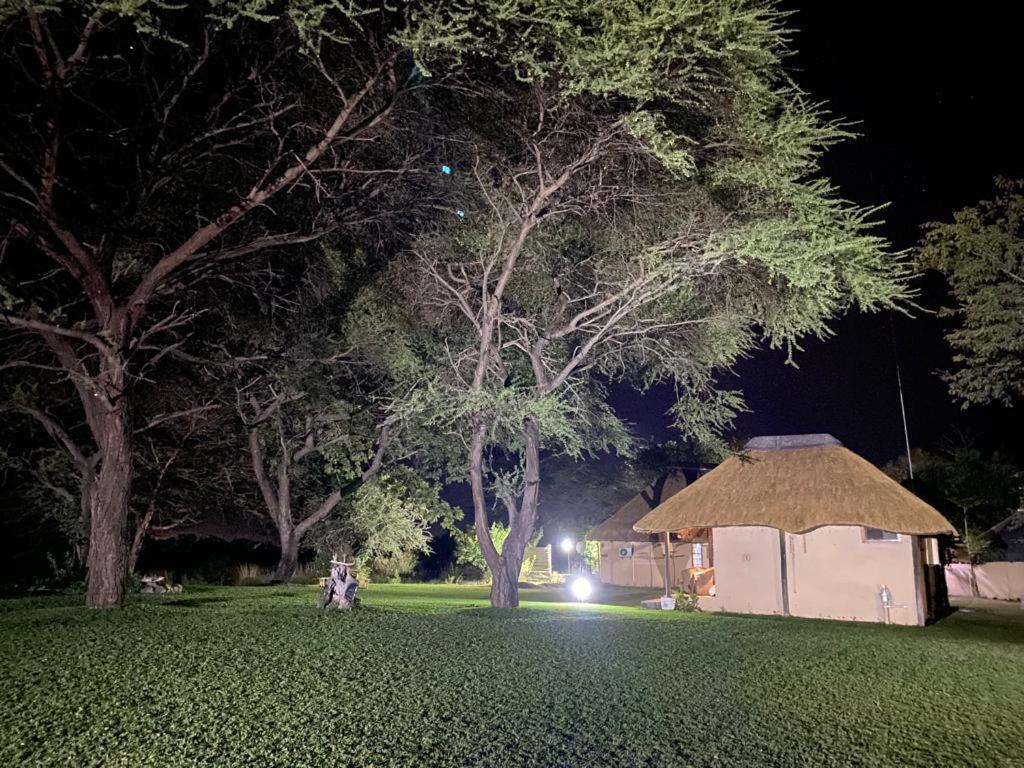 Big 5 Toro Lodge Kasane Luaran gambar